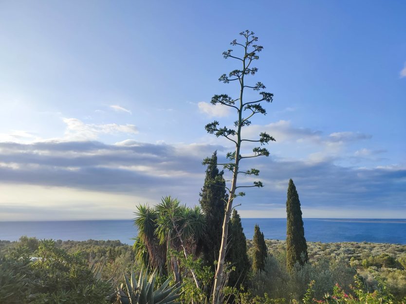 vista al mar (2)